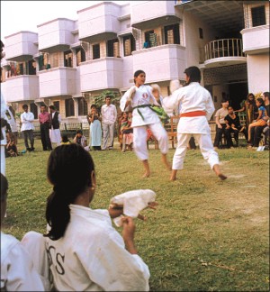 Picture