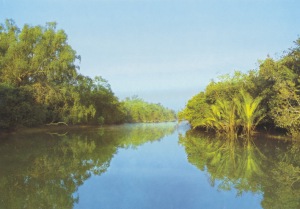 Picture