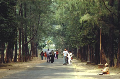 Picture